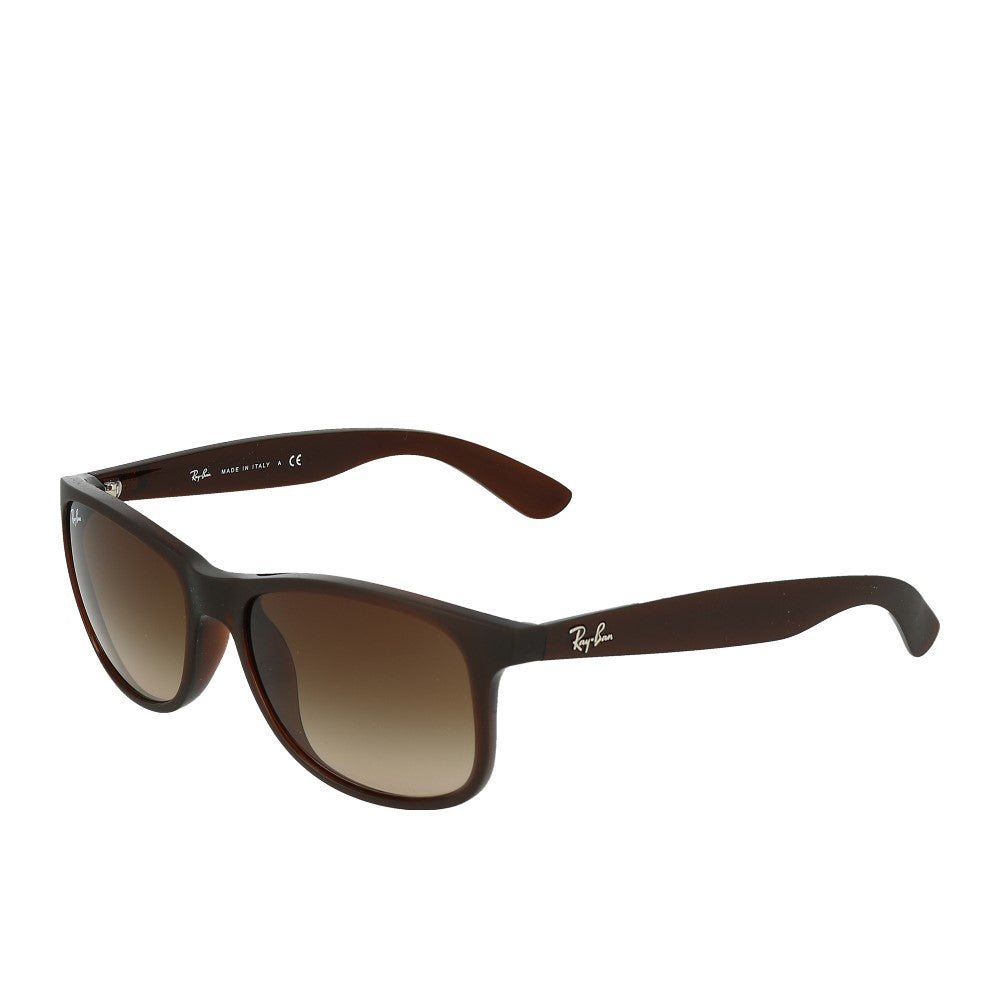 Ray-Ban Andy RB4202 607313 Matte Brown On Brown Brown Dark Brown