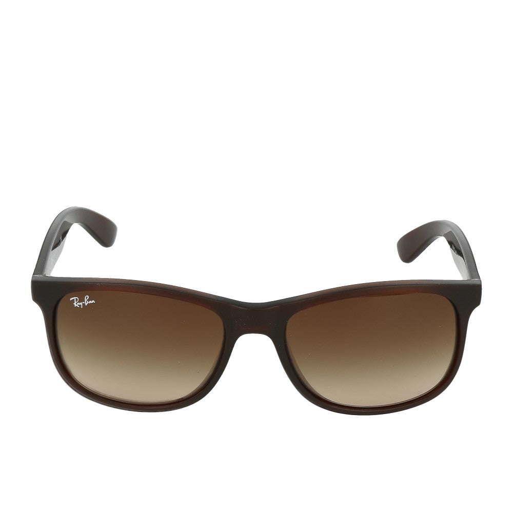 Ray-Ban Andy RB4202 607313 Matte Brown On Brown Brown Dark Brown