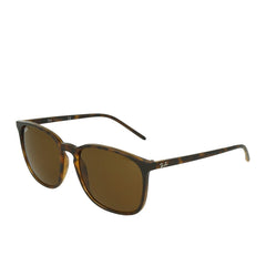 Ray-Ban RB4387 710/73 Tortoise Brown