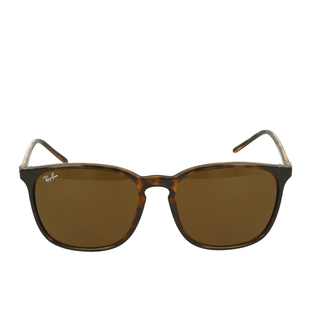 Ray-Ban RB4387 710/73 Tortoise Brown