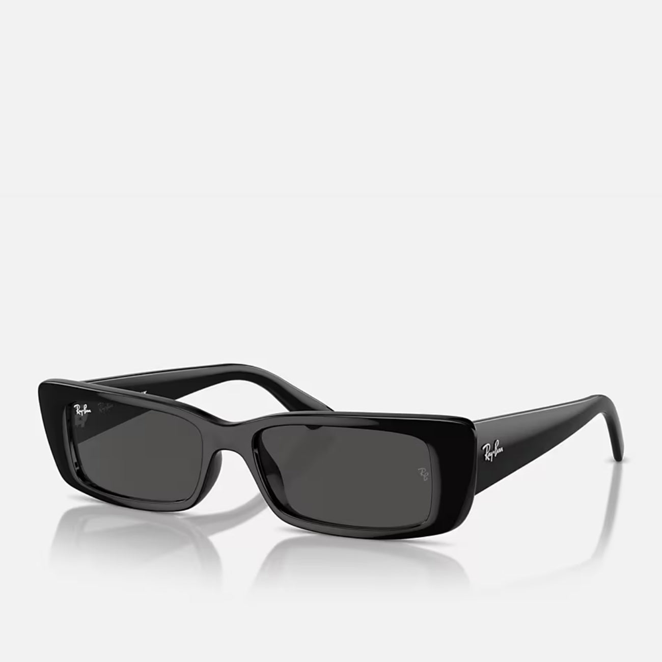 Ray-Ban Teru RB4425 667787 Black