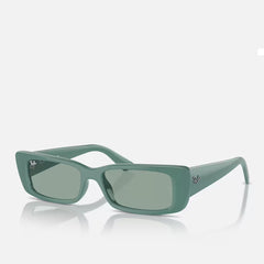 Ray-Ban Teru RB4425 676282 Algae Green