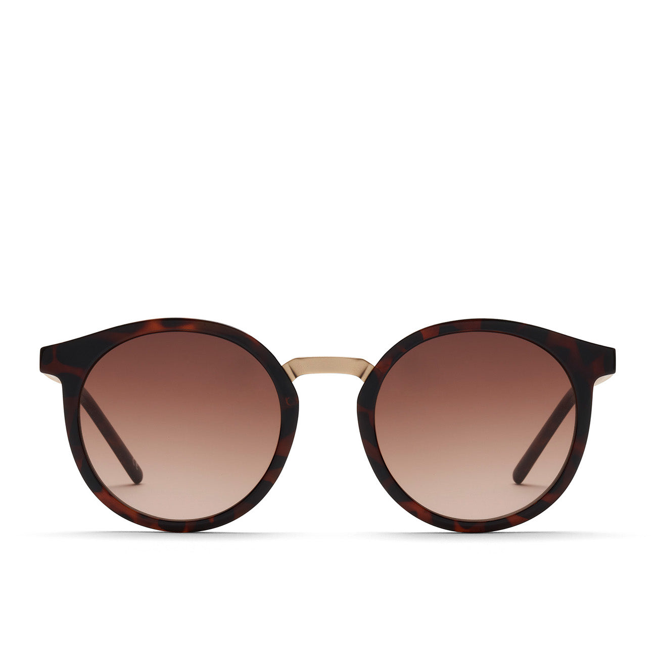 Take a Shot Leonie Havana - Brown Gradient Unisex