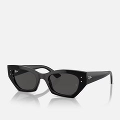 Ray-Ban Zena RB4430 667787 Black