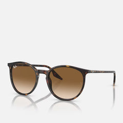 Ray-Ban RB2204 Havana Clear Brown