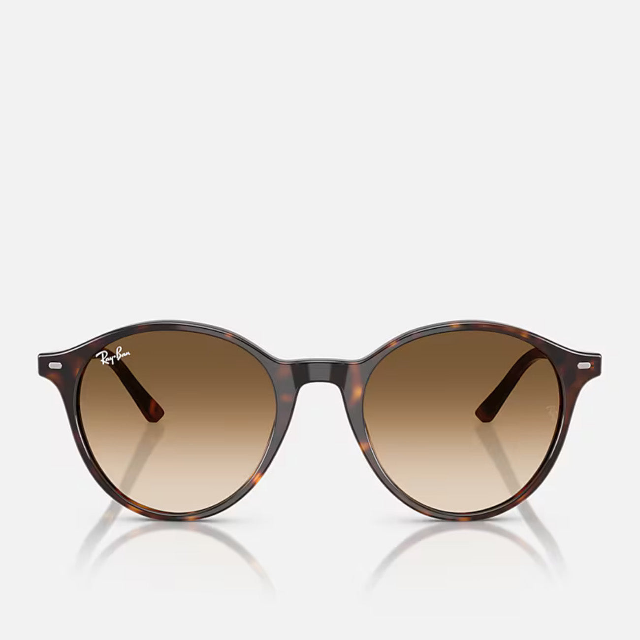 Ray-Ban Bernard RB2230 902/51 Havana