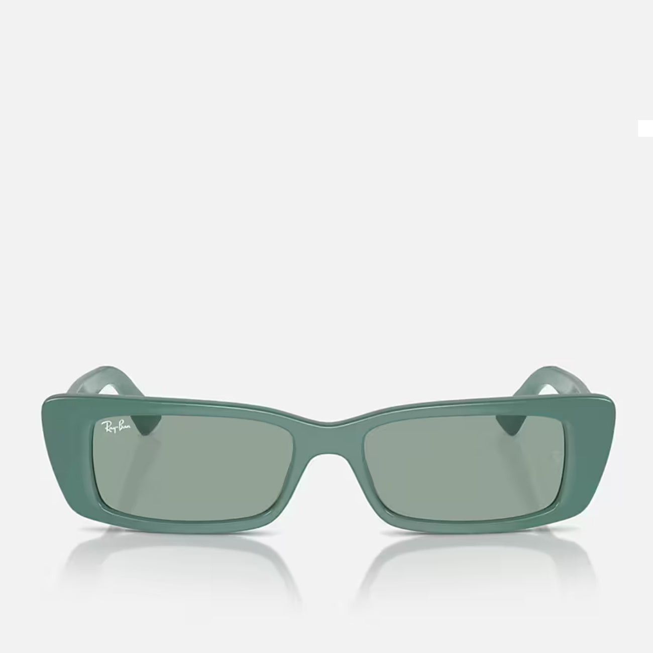 Ray-Ban Teru RB4425 676282 Algae Green