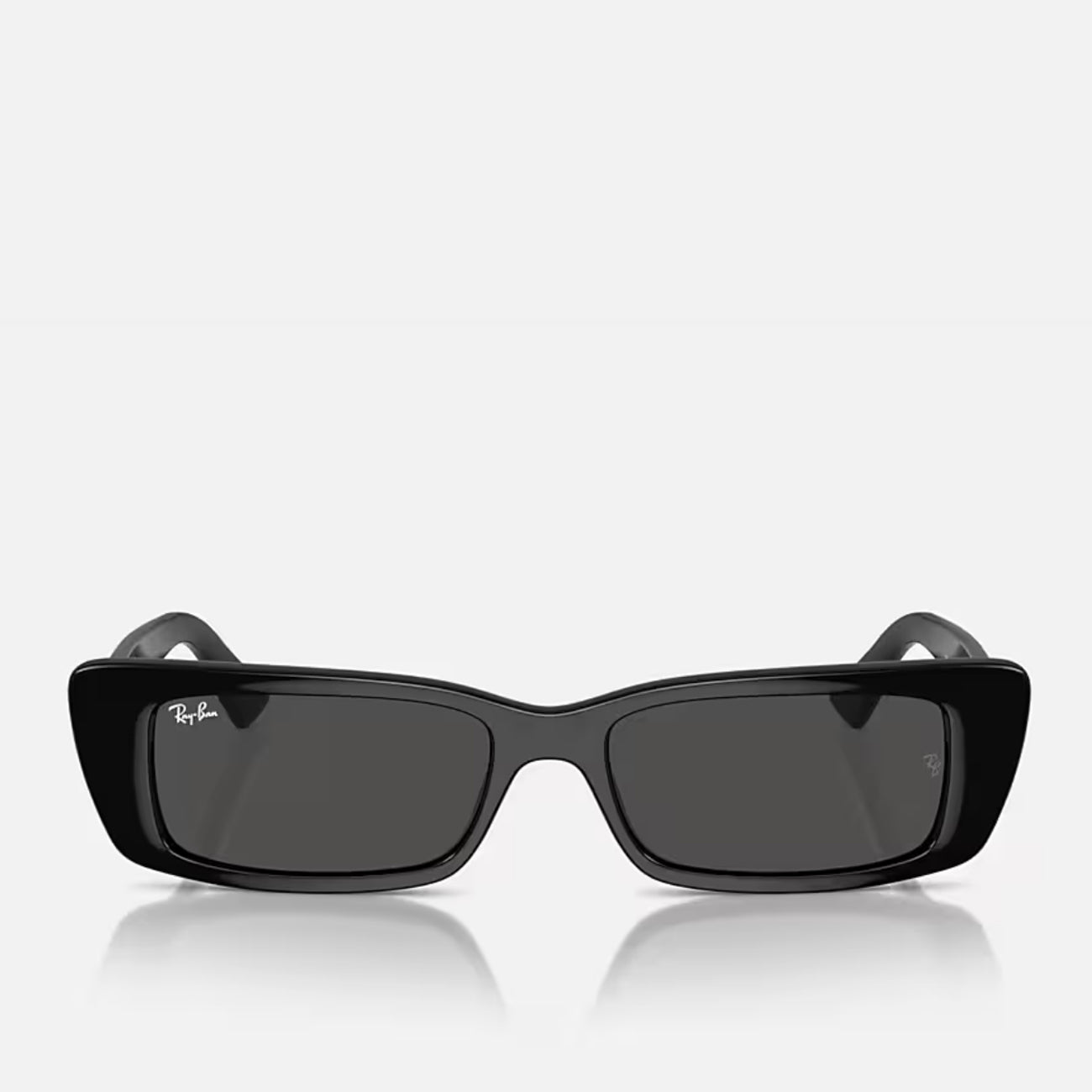 Ray-Ban Teru RB4425 667787 Black